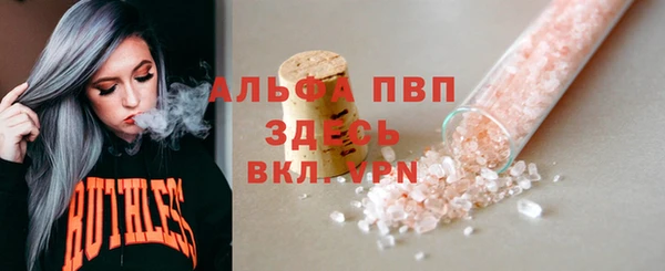 СК Магадан