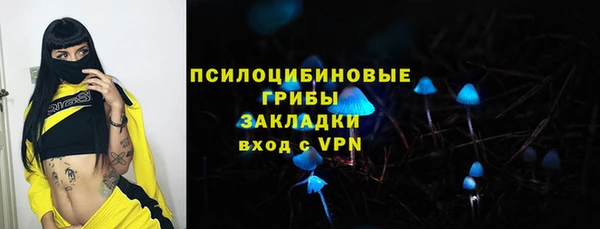 спайс Белокуриха