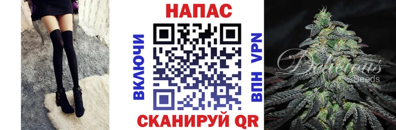 продажа наркотиков  Цоци-Юрт  Конопля тримм 